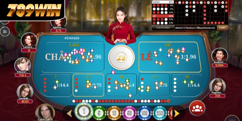 Bàn xóc đĩa có nhiều hình thức cược cho bạn lựa chọn