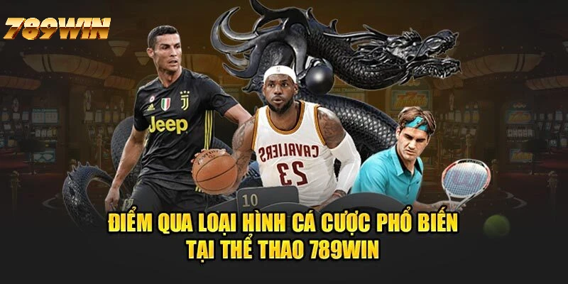 Các môn cá độ thể thao hấp dẫn tại 789WIN Các môn cá độ thể thao hấp dẫn tại 789WIN