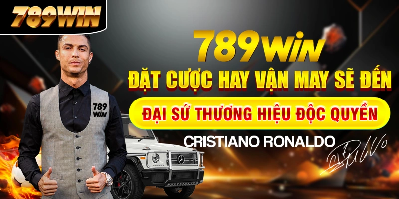 Như Quỳnh đã phát triển thương hiệu tại Việt Nam gần 10 năm Như Quỳnh đã phát triển thương hiệu tại Việt Nam gần 10 năm