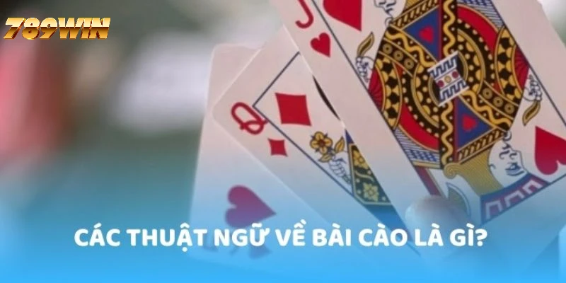 Thuật ngữ cơ bản trong game bài cào của 789WIN Thuật ngữ cơ bản trong game bài cào của 789WIN
