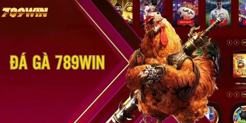 Trải nghiệm cược đá gà lôi cuốn, kịch tính tại 789WIN Trải nghiệm cược đá gà lôi cuốn, kịch tính tại 789WIN